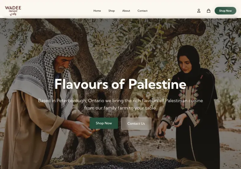Websites & E-Commerce by 255